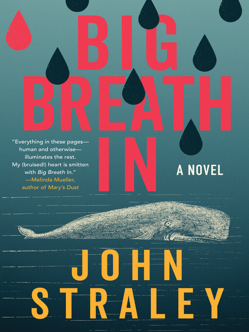 Title details for Big Breath In by John Straley - Available